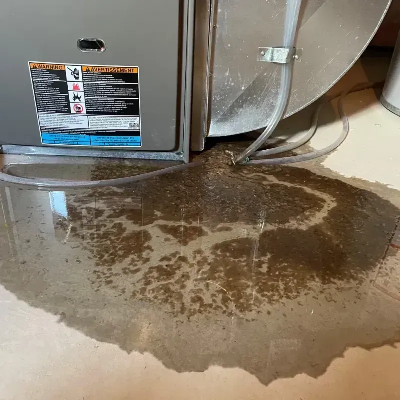 Appliance Leak Cleanup in Saxon, SC